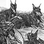 Custom drawing of doberman pinscher dogs in pencil