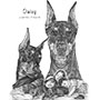 Custom pencil drawing of Daisy the Doberman Pinscher Dog - memorial gift