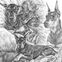 Pencil Portrait Drawing of Dobermans