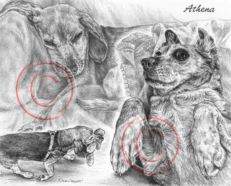 Pen and ink portrait of condominium building