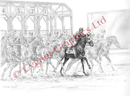 Race horse favorite - pencil drawing by Kelli Swan